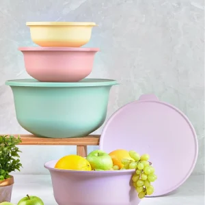 Çok Renkli Tupy Kapaklı Kase 4lü Set