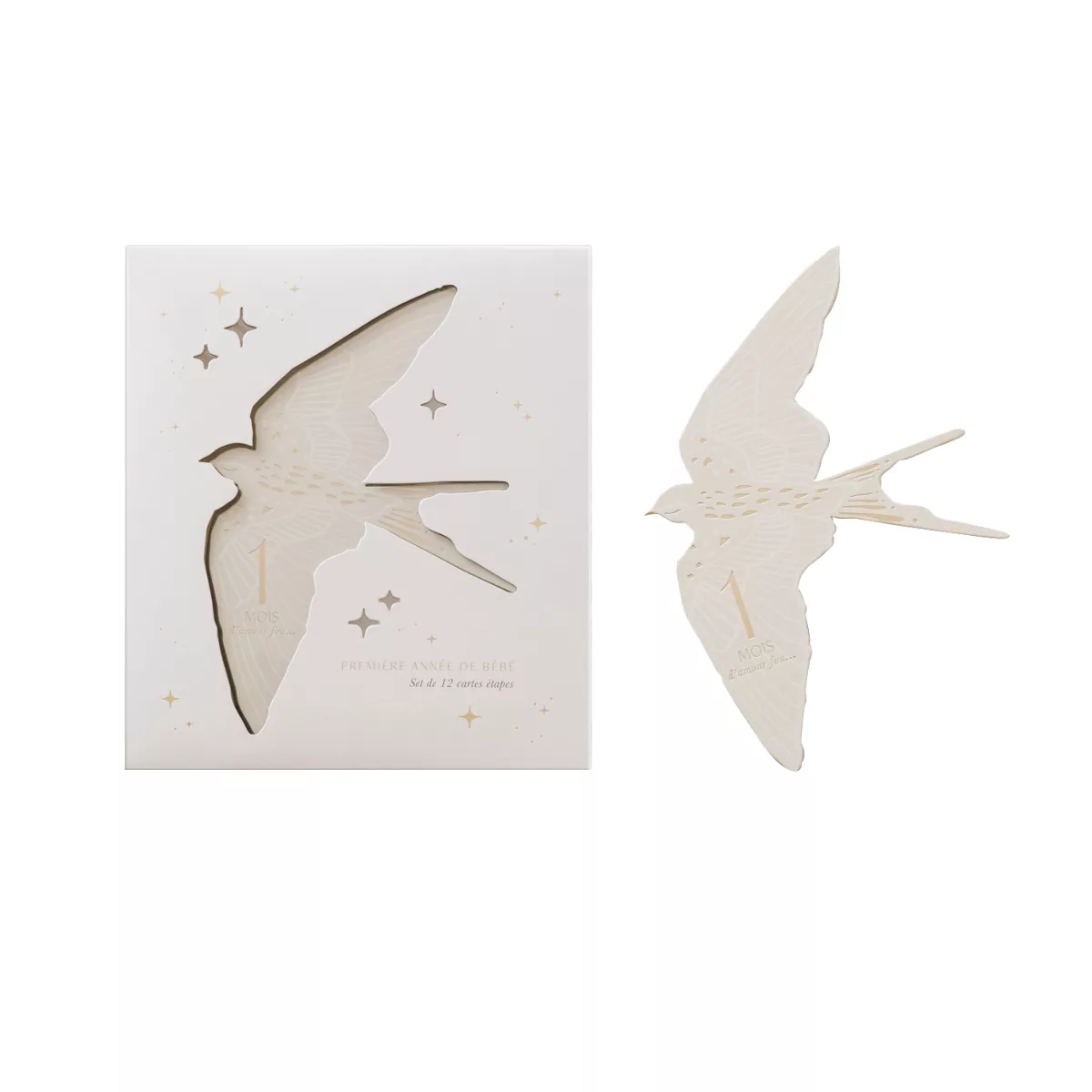 Zakuw – Cartes étapes birds – Image 2