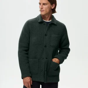 ERNST - Vert Sequoia