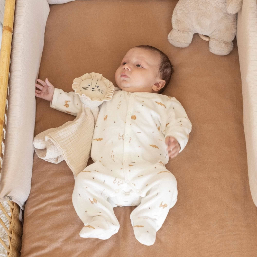 3KG7 – Pyjama lion – Image 4