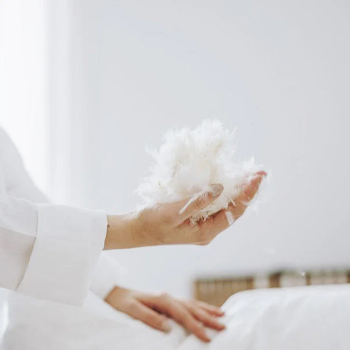 Couette premium mi-saison enveloppe 100% coton - Duvet de canard 300g – Image 3