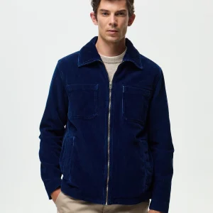 RIVOLI Velours - Indigo Moyen